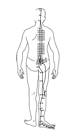 . 10.    (V):1  -; 2  -; 3  -;4